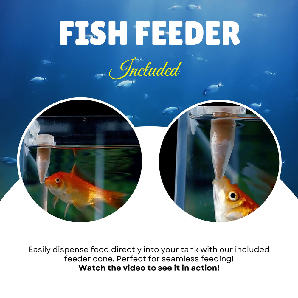 MorexLab natural ingredient label close-up, additive-free formula for balanced fish nutrition