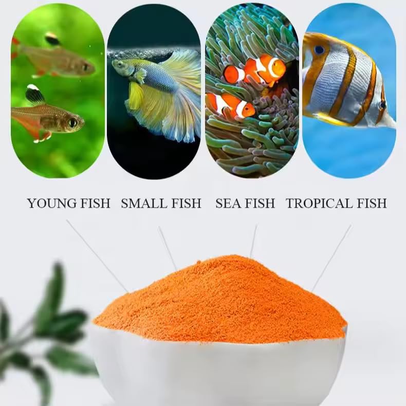 MorexLab decapsulated brine shrimp eggs powder close-up, digestible protein source for fry