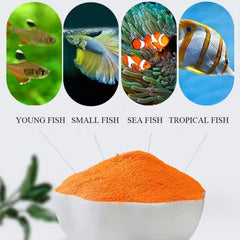 MorexLab decapsulated brine shrimp eggs powder close-up, digestible protein source for fry