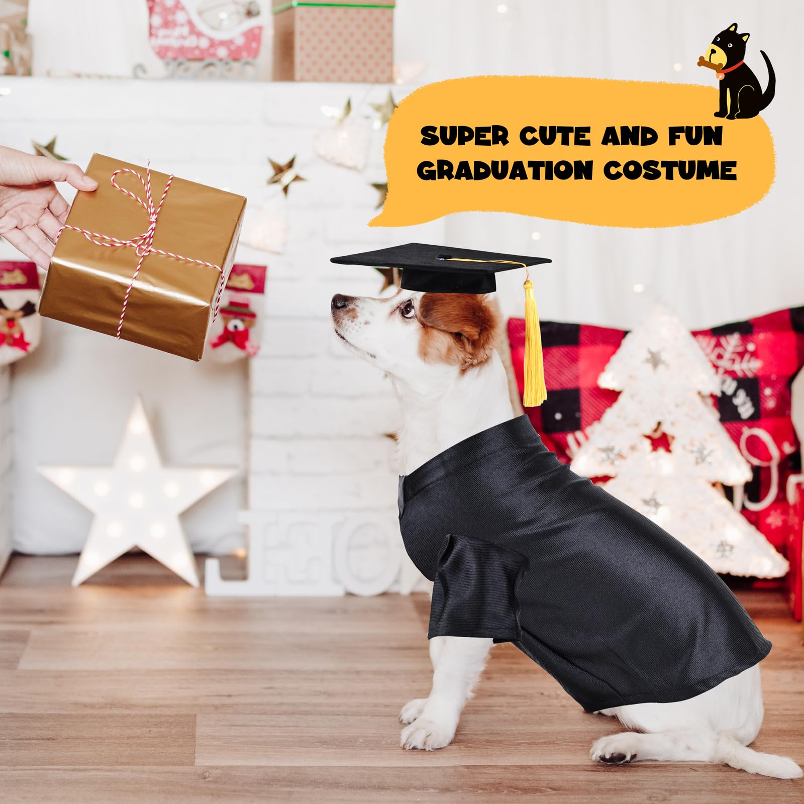 MORFORU dog graduation ensemble enhances photos with a playful vibe