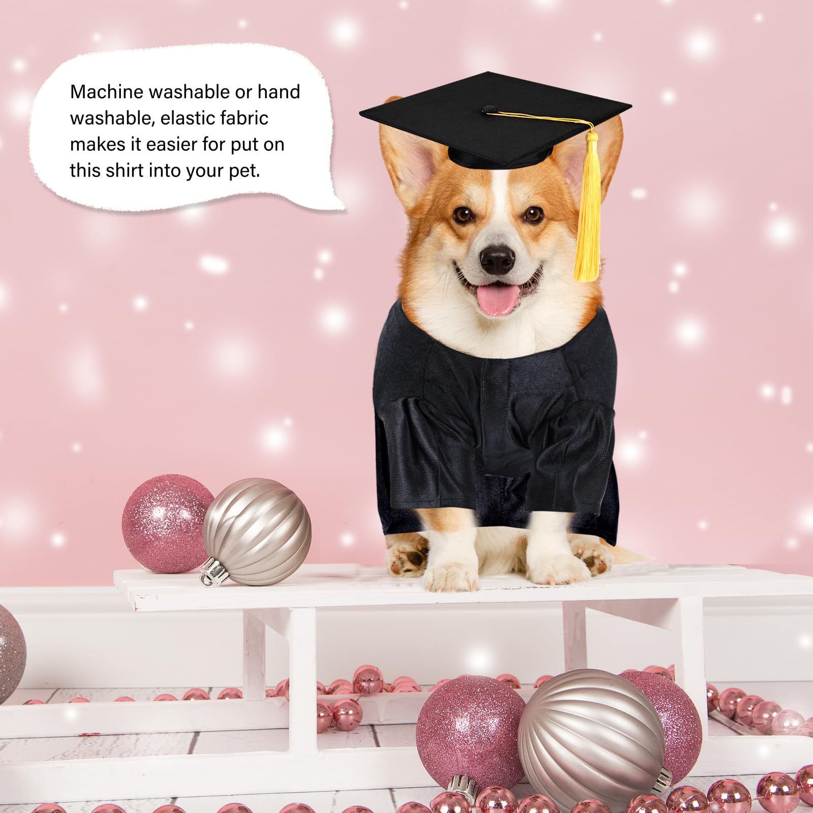 MORFORU pet costume on model showing a festive look for holidays