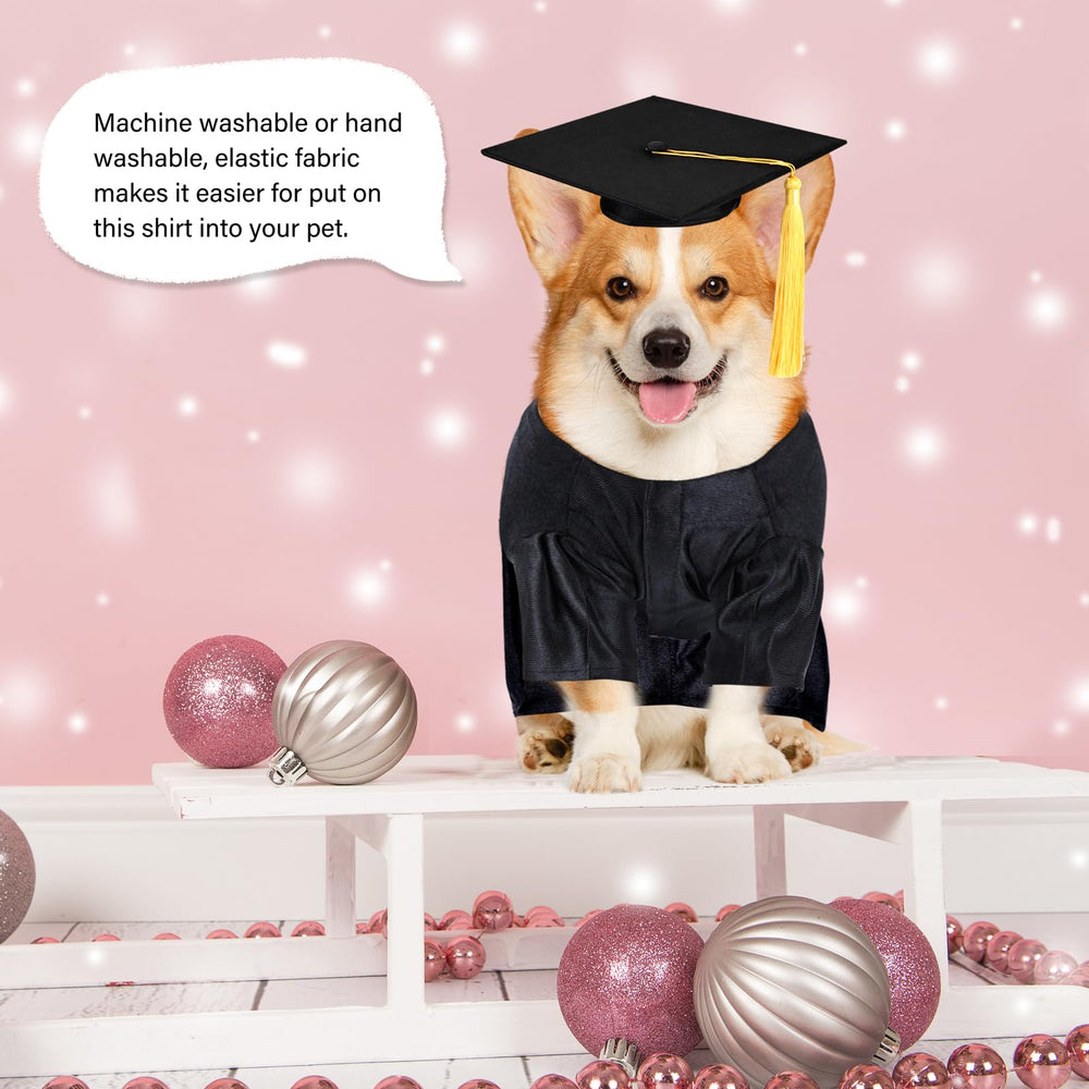 MORFORU pet costume on model showing a festive look for holidays