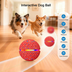 Morhandisn ball bounces unpredictably to engage dogs during fetch.