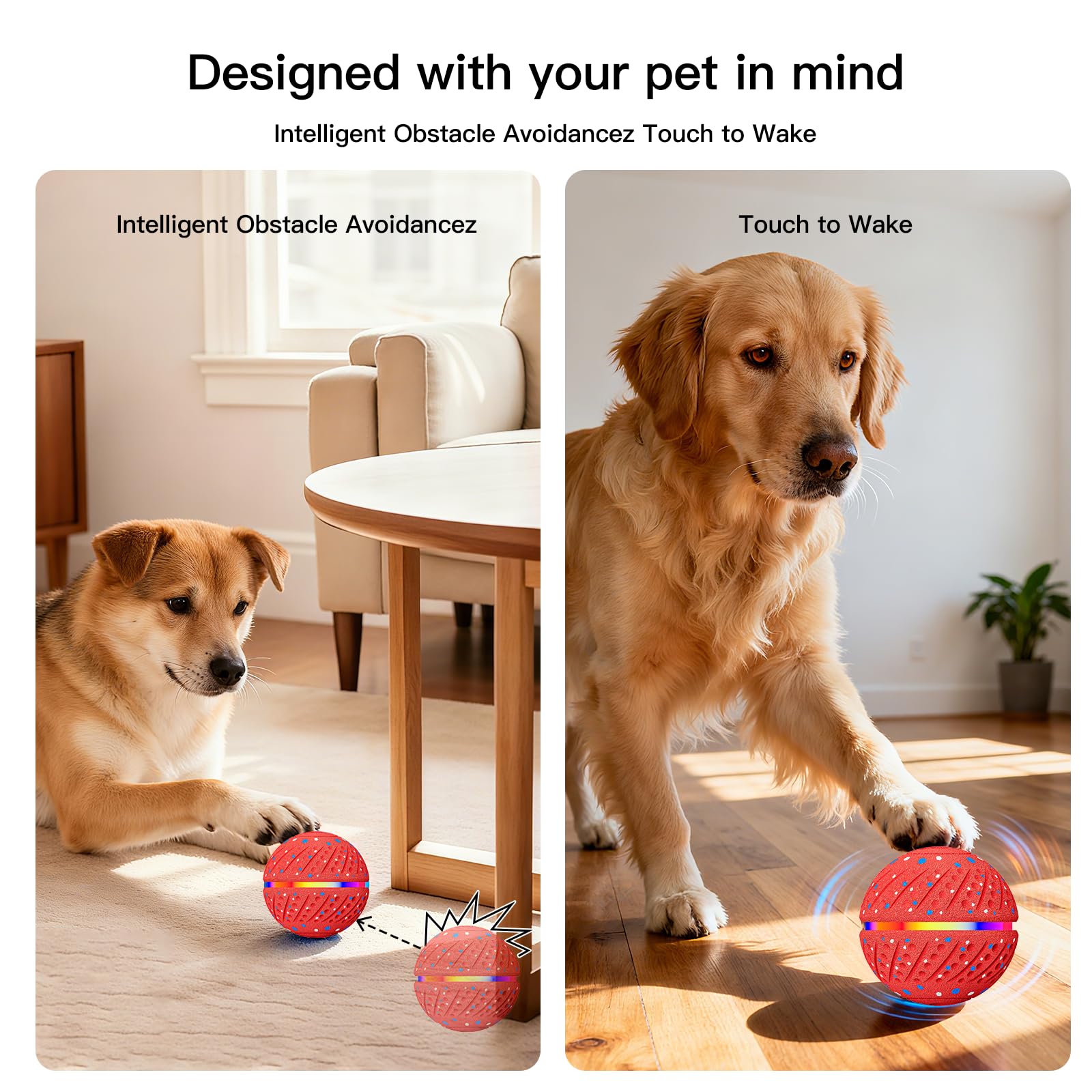 Morhandisn ball's RGB lights attract dogs during dusk play.