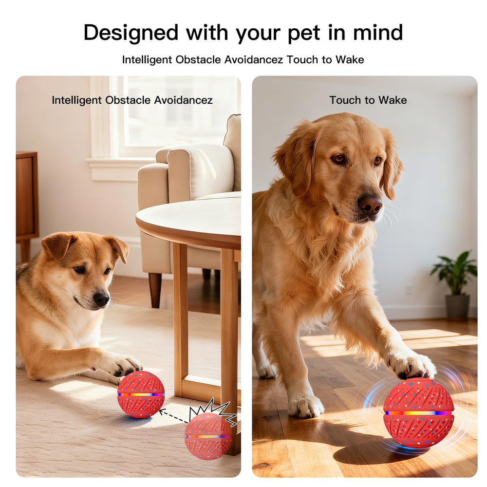 Morhandisn ball's RGB lights attract dogs during dusk play.