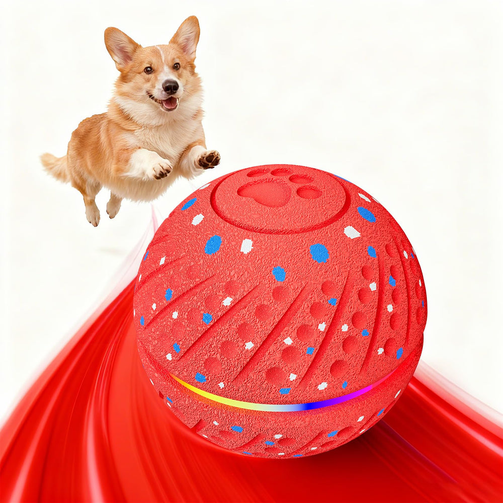 Morhandisn interactive dog ball self-rolling in action promotes active indoor play.