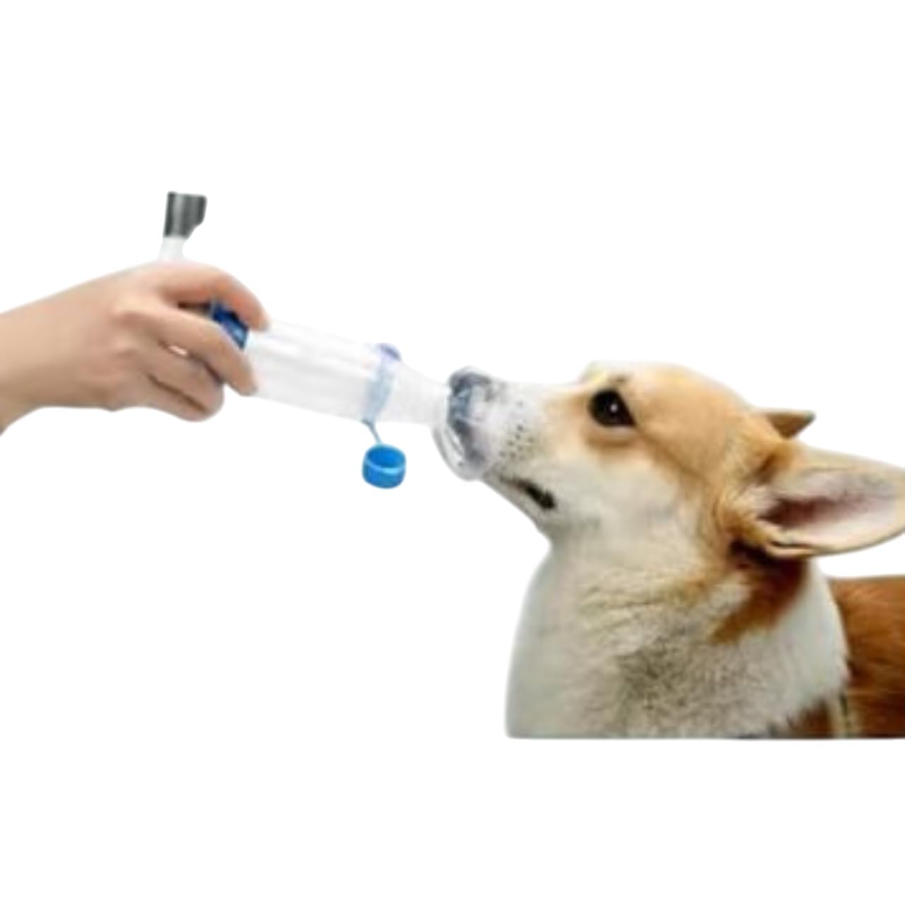 Moritas Pet pet inhaler spacer face mask delivers gentle, reliable administration for pets.