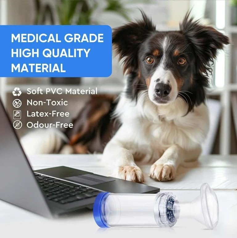 Moritas Pet travel-friendly setup supports on-the-go treatments.