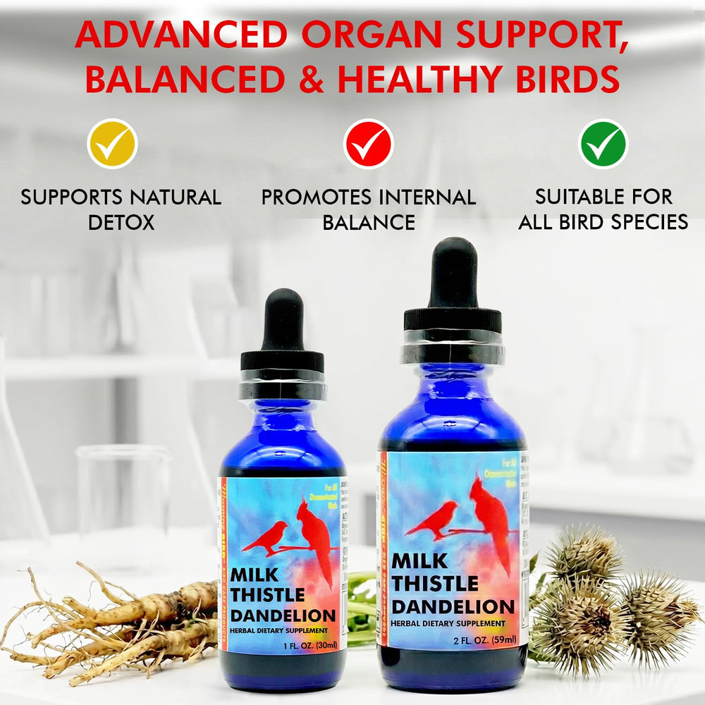 Morning Bird aviary-care-routine demonstrates convenient herbal addition to daily care
