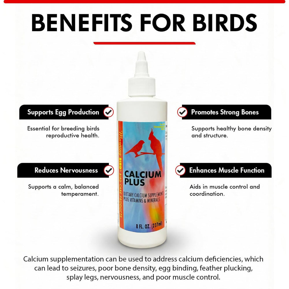 Morning Bird Calcium Plus Liquid hand feeding into the crop for easy administration.