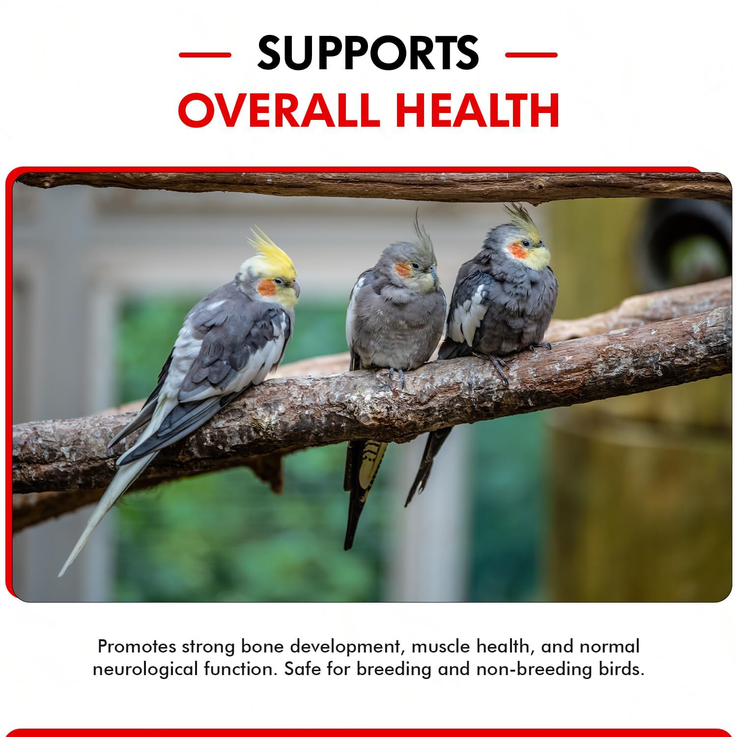 Morning Bird Calcium Plus Liquid nutrition label highlights vitamin D3 and magnesium.