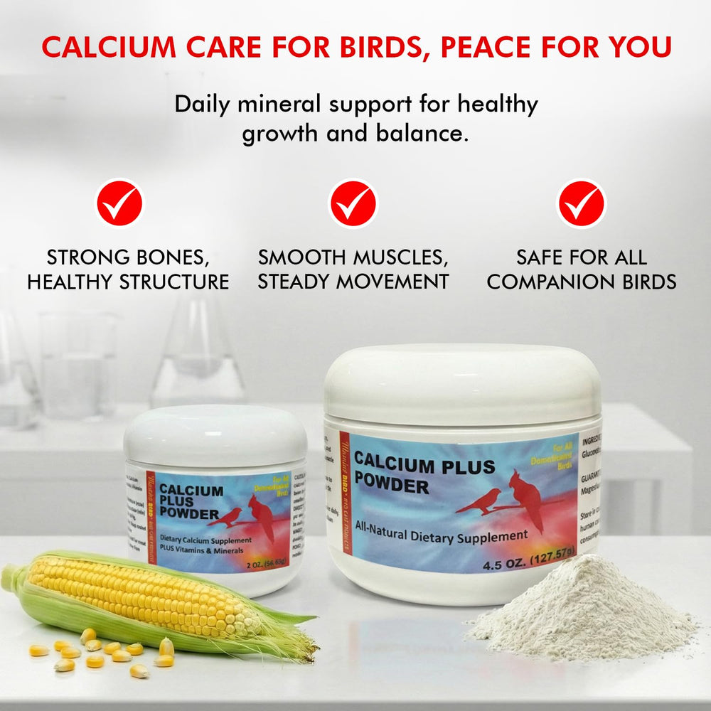 Morning Bird Calcium Plus Powder supports feather growth in birds.