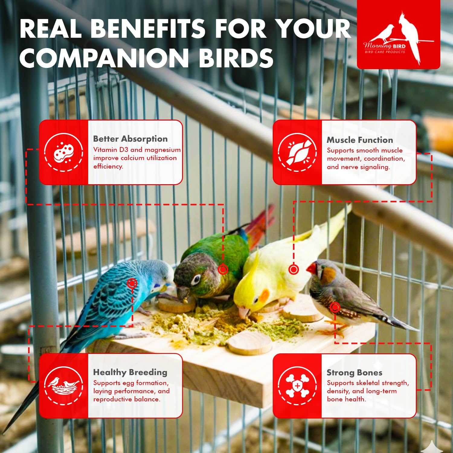 Morning Bird Calcium Plus Powder added to fruits and vegetables boosts nutrient intake.