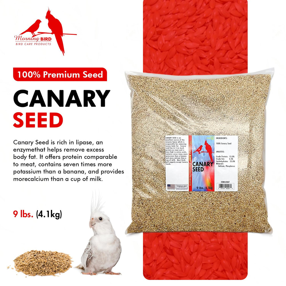 Morning Bird canary seed closeup texture highlights high-protein grains for energetic birds.