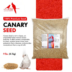 Morning Bird canary seed closeup texture highlights high-protein grains for energetic birds.