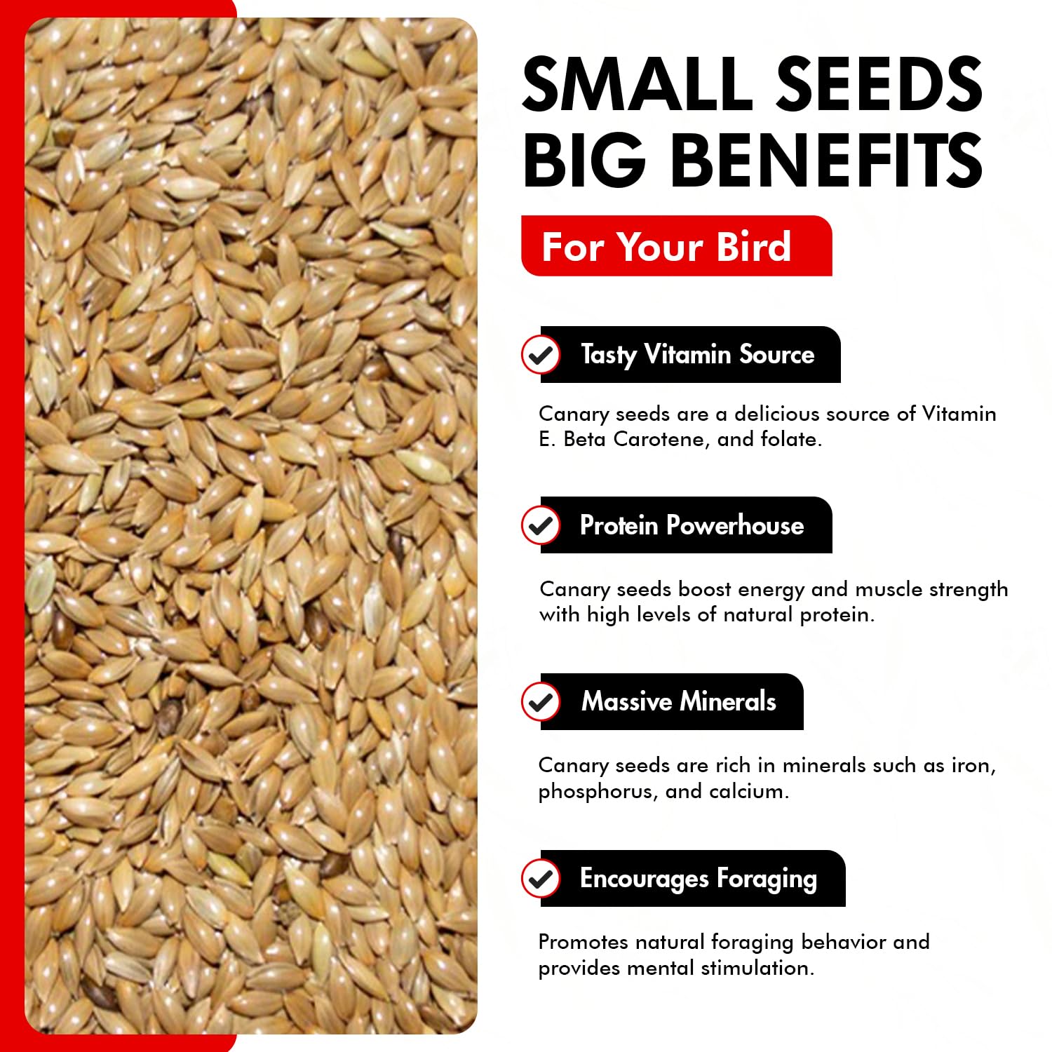 Morning Bird canary seed nutrition-info-label highlights essential minerals for bone support.