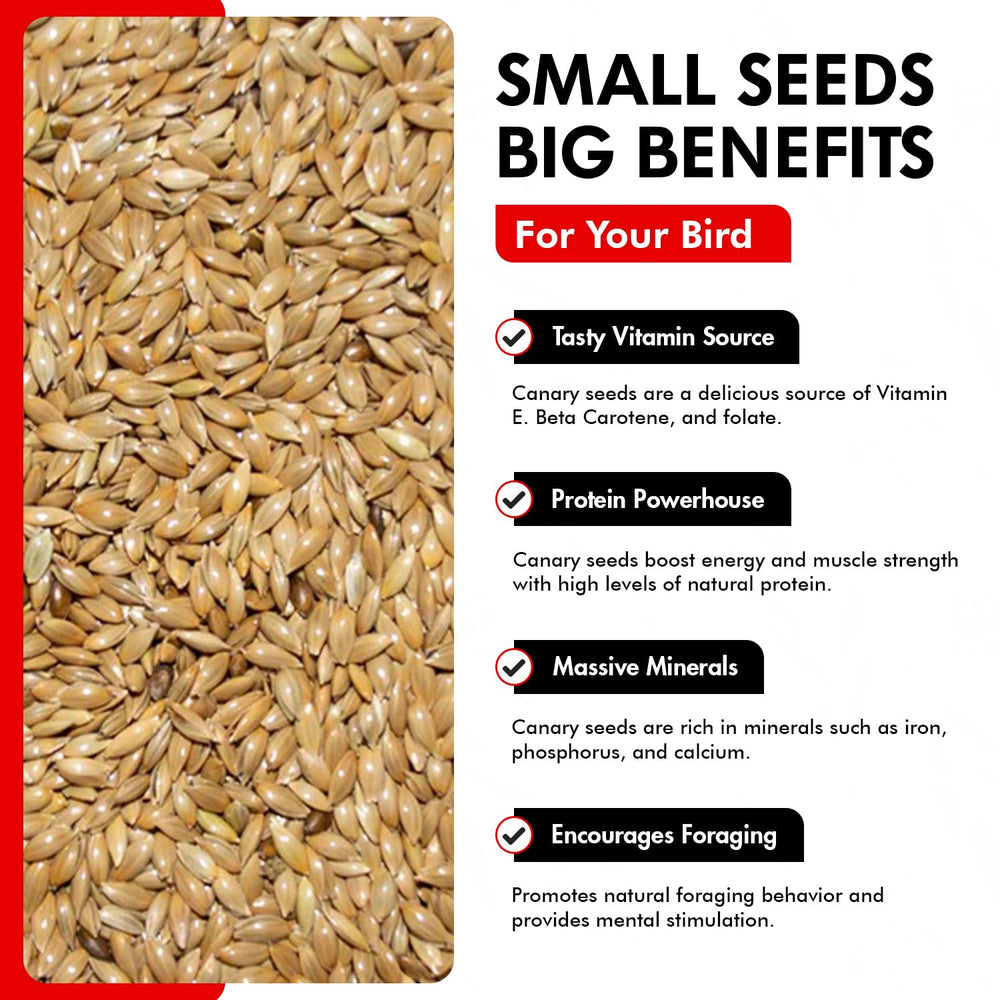 Morning Bird canary seed nutrition-info-label highlights essential minerals for bone support.