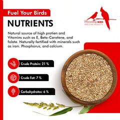 Morning Bird canary seed pour jar displays easy-to-use feeding for busy households.