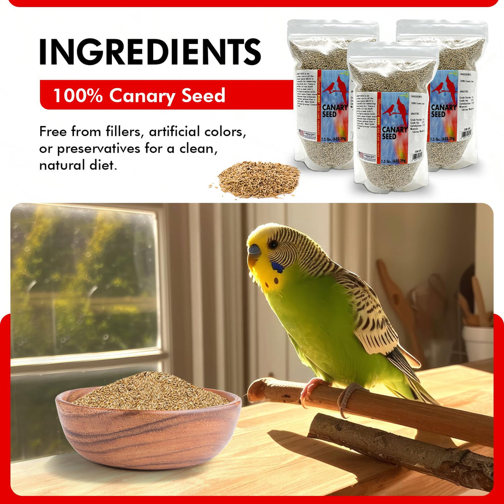 Morning Bird Canary Seed serving bowl demonstrates easy daily feeding for active birds