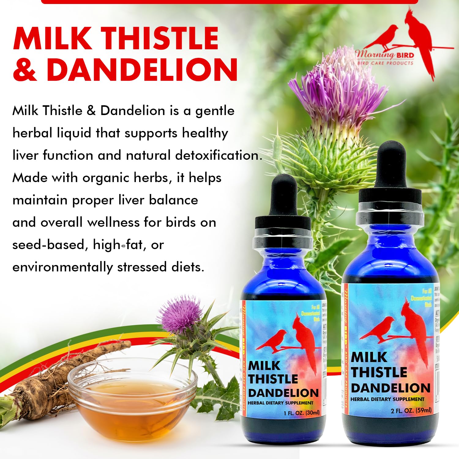 Morning Bird Dandelion Root Ingredients highlights natural detox options for birds