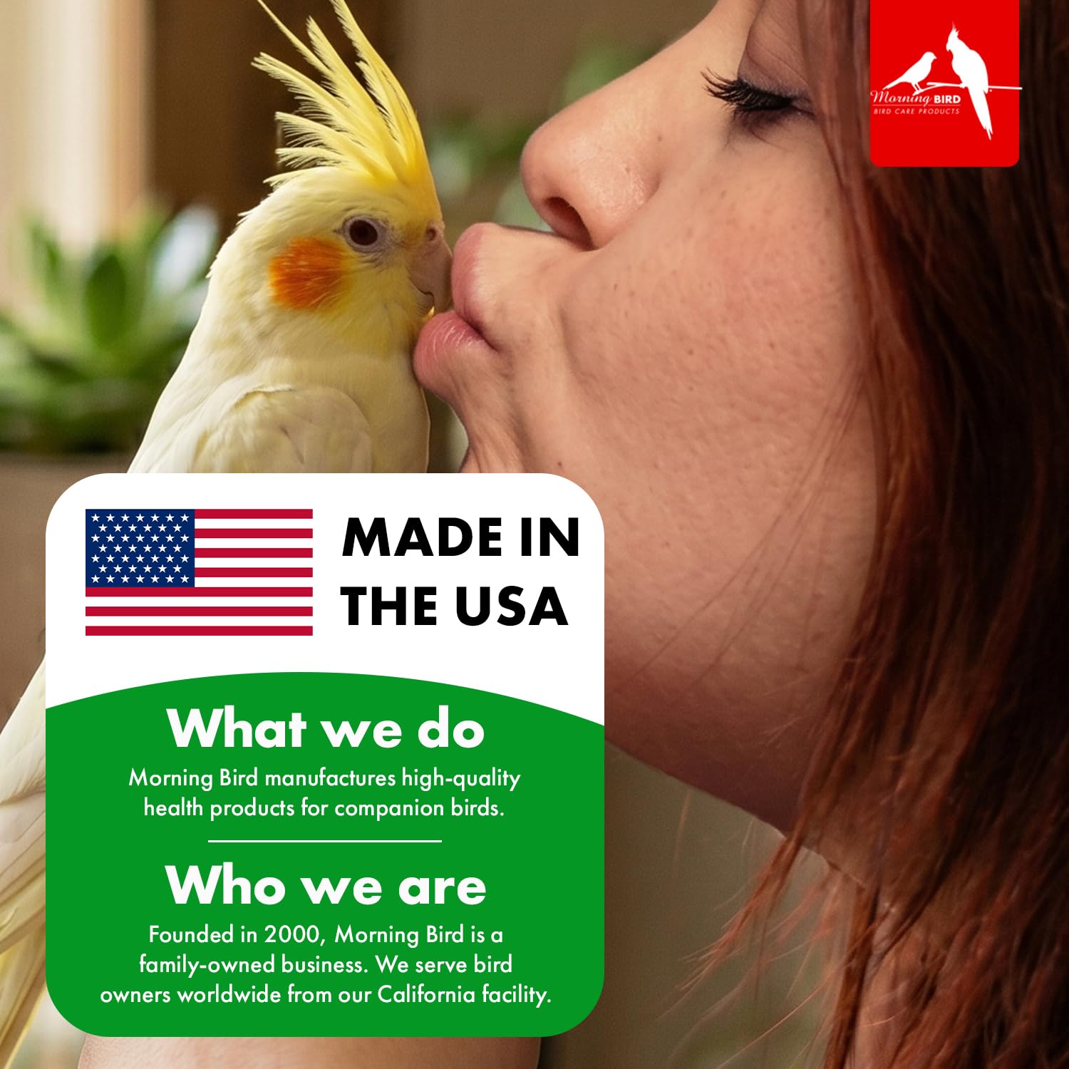 Morning Bird Eggfood breeding birds scene suggests feather health benefits.