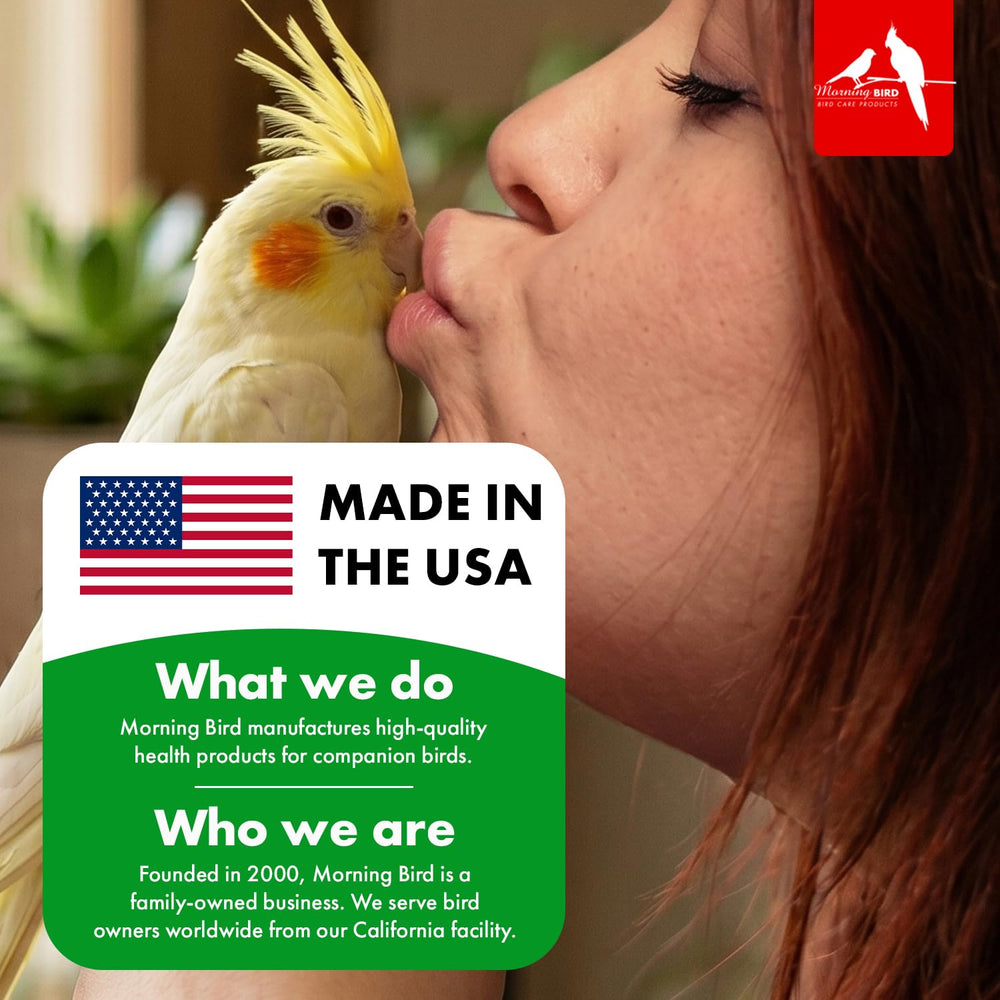 Morning Bird Eggfood breeding birds scene suggests feather health benefits.