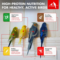 Morning Bird Eggfood nutrition facts label emphasizes vitamins and minerals for vitality.