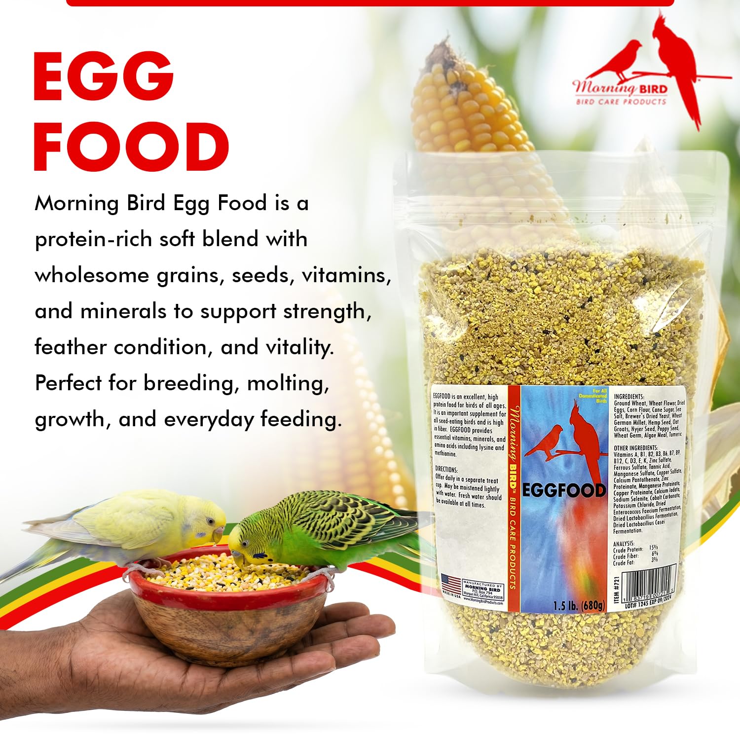 Morning Bird Eggfood protein texture closeup shows protein-dense grains.