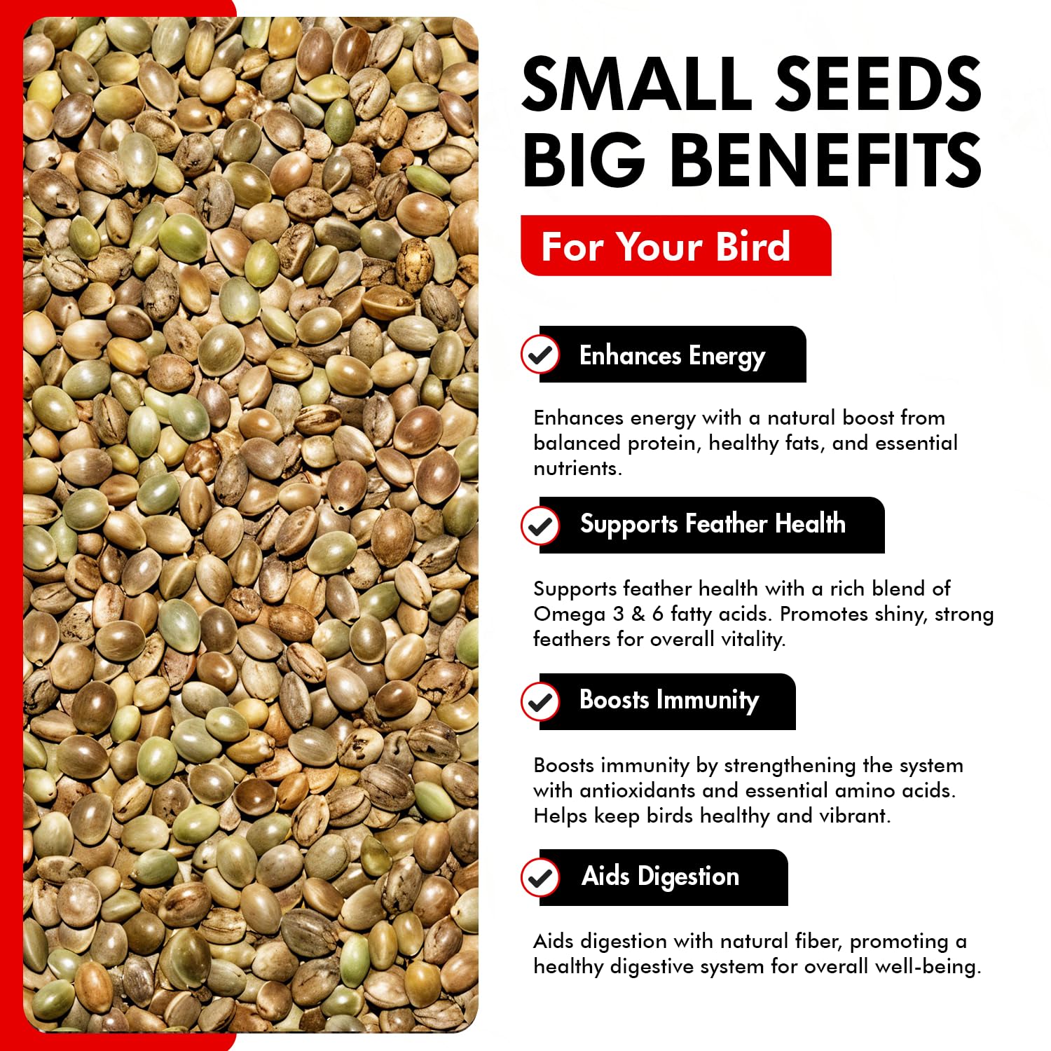 Morning Bird hemp seeds at feeder suggest vibrant feathers and energy