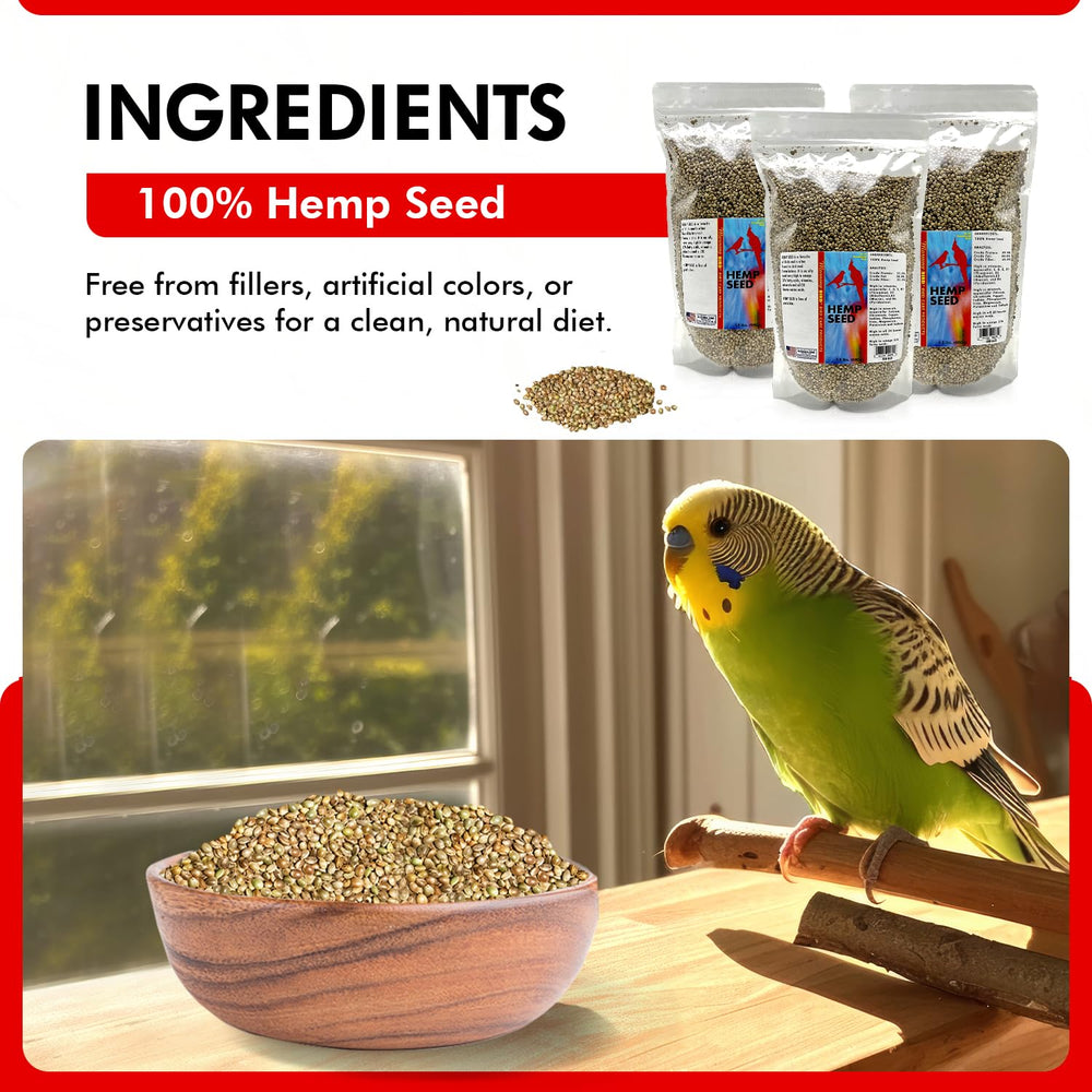 Morning Bird hemp seeds omega acids close-up illustrates healthy fats for birds