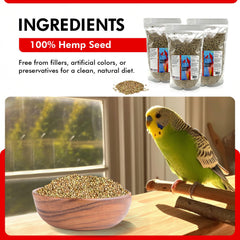 Morning Bird hemp seeds omega acids close-up illustrates healthy fats for birds