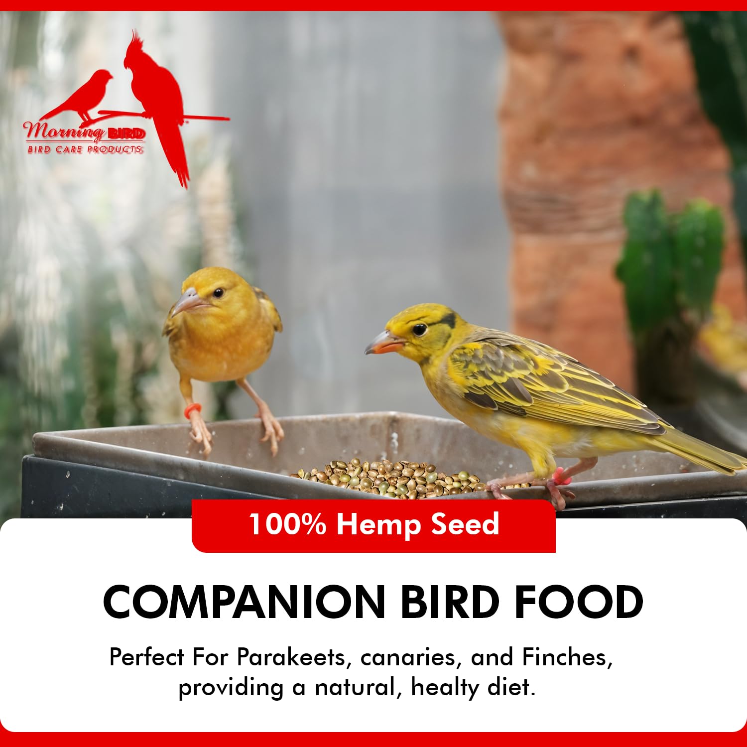 Morning Bird hemp seeds US-made label signals all-natural product