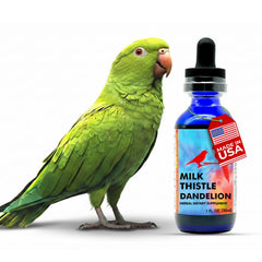 Morning Bird Milk Thistle Bottle promotes liver support for birds