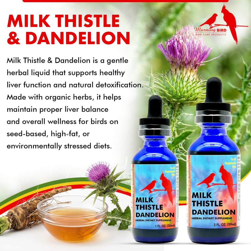 Morning Bird milk-thistle-dandelion dropper-setup enables simple administration for all bird sizes