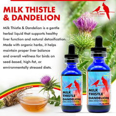 Morning Bird milk-thistle-dandelion dropper-setup enables simple administration for all bird sizes