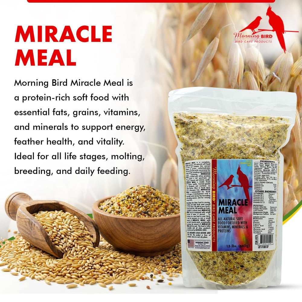 Morning Bird Miracle Meal balanced diet supports steady energy.