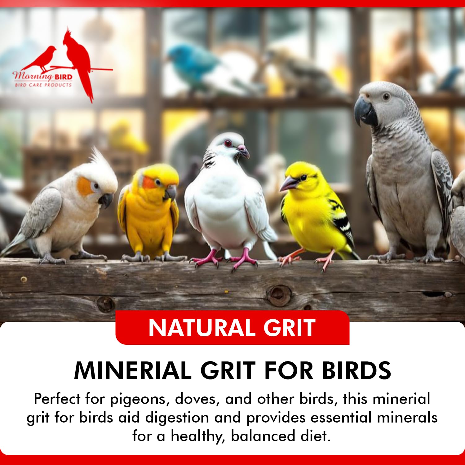 Morning Bird Pigeon Grit resealable bag for convenient storage.