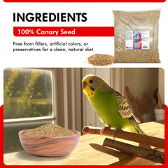 Morning Bird seed bowl ready for feeding emphasizes quick, mess-free serves.