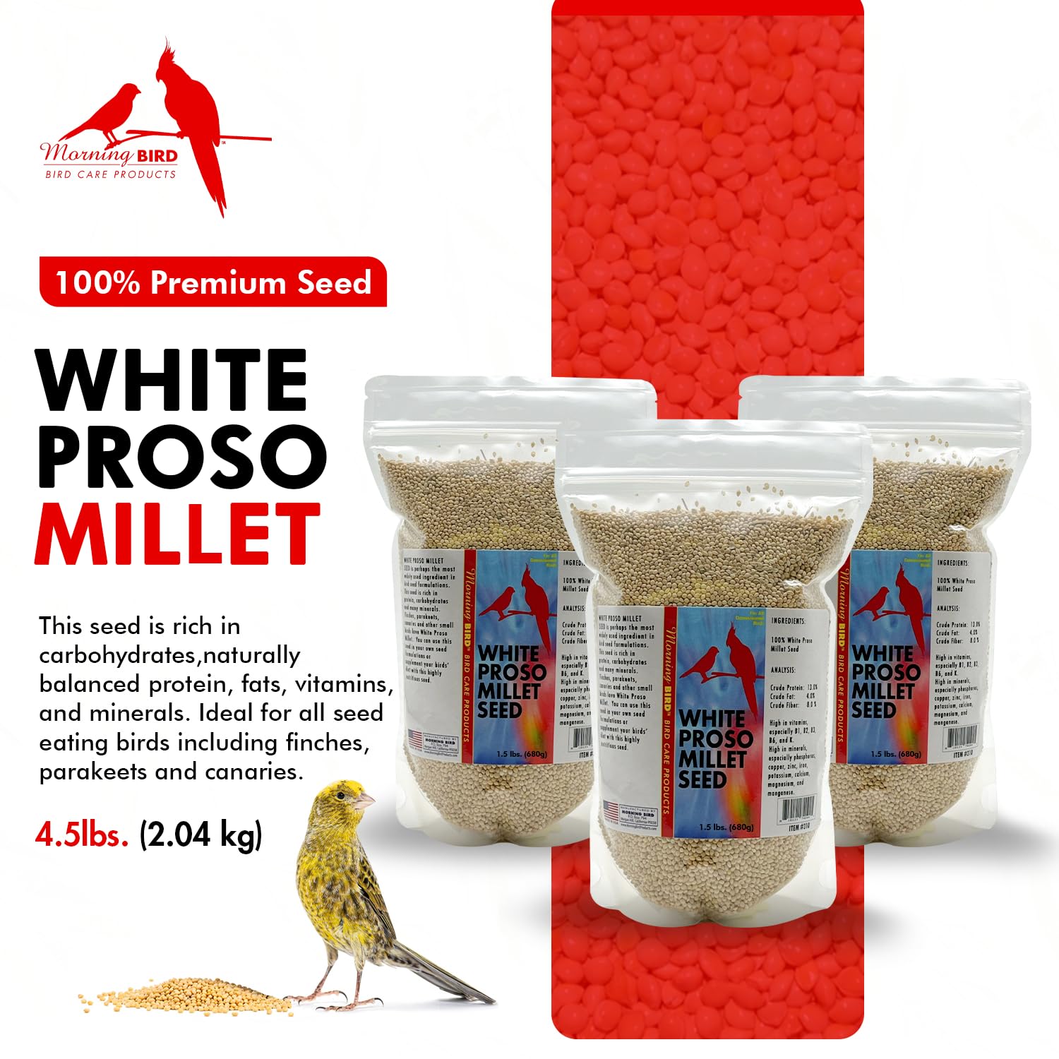 Morning Bird White Proso Millet Seed bowl ready for small birds