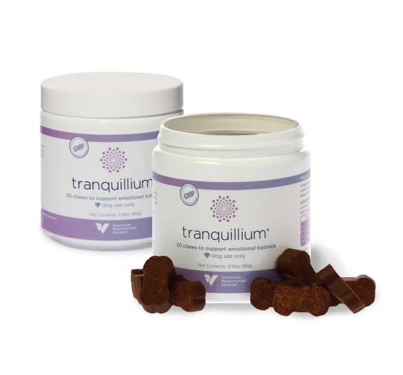 Dog during morning routine with Tranquillium for steady calm.