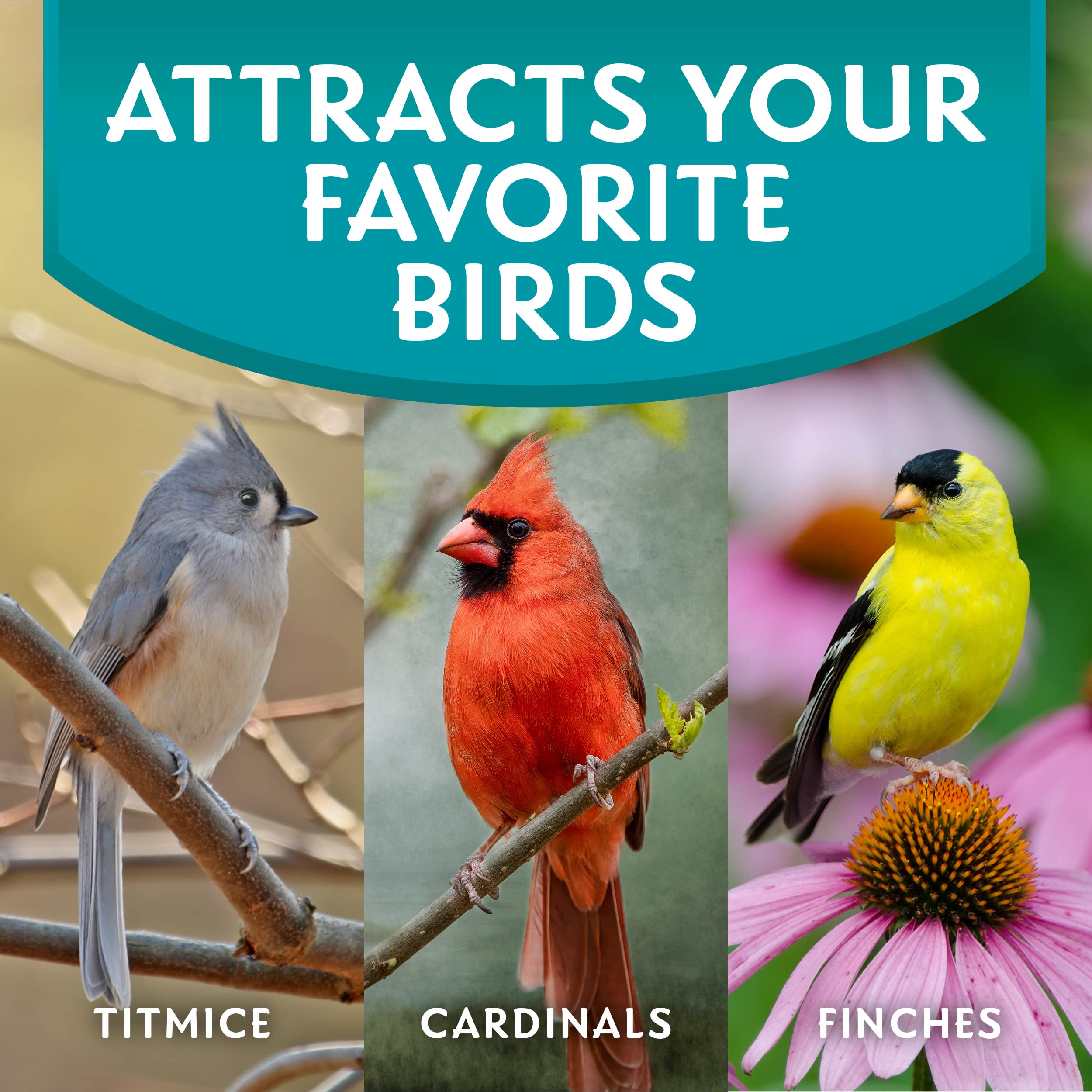 Morning Song outdoor feeder setup shows versatile placement on patios and decks.