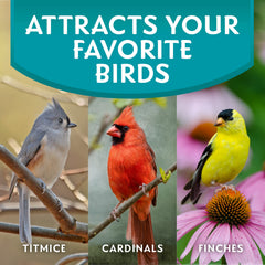 Morning Song outdoor feeder setup shows versatile placement on patios and decks.