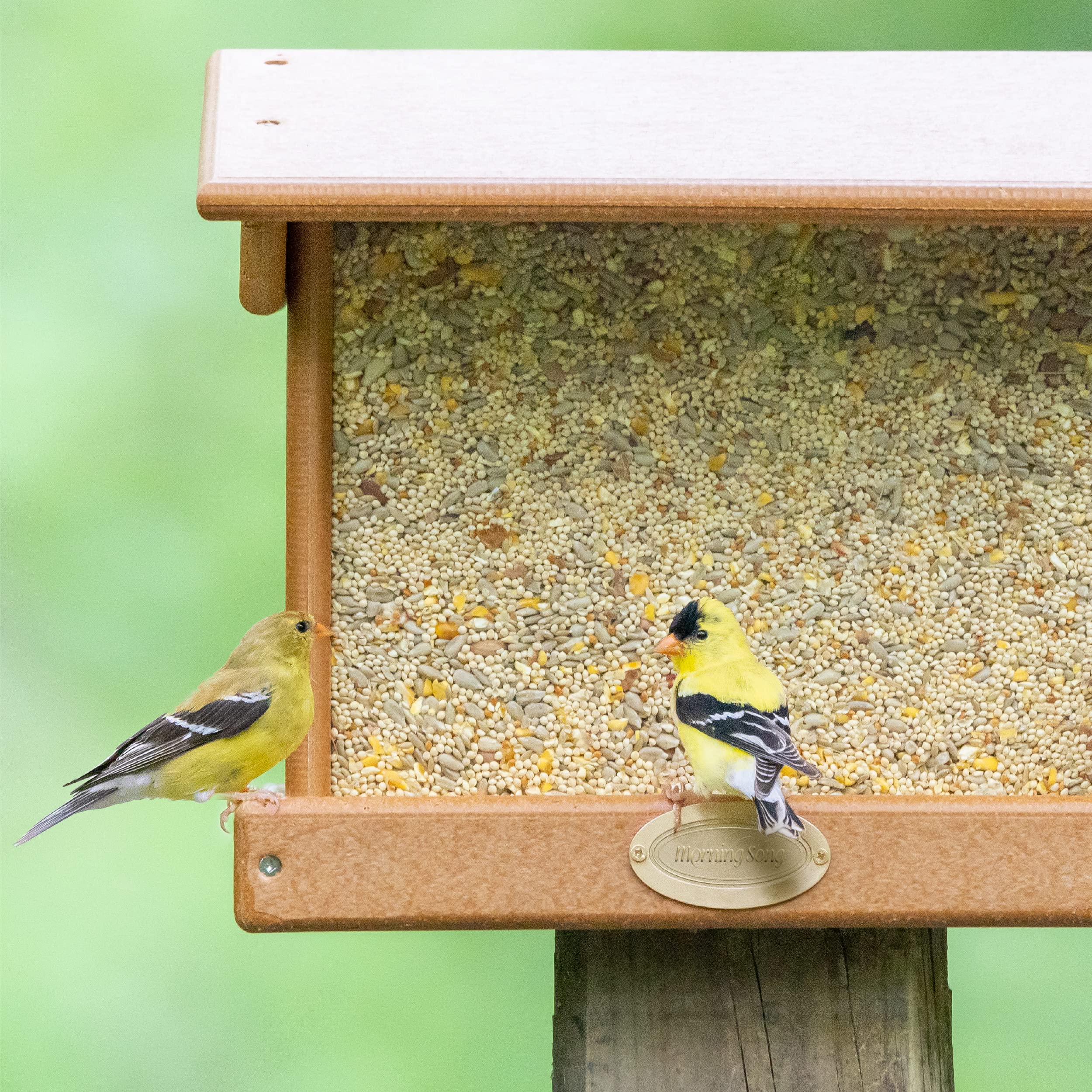 Morning Song patio deck feeding makes birdwatching easier in tidy spaces.