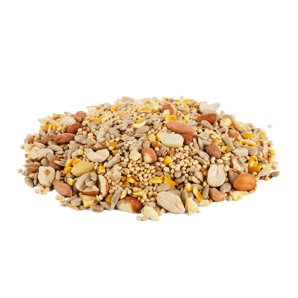 Morning Song shell-free ingredients closeup highlights premium sunflower chips and peanuts.
