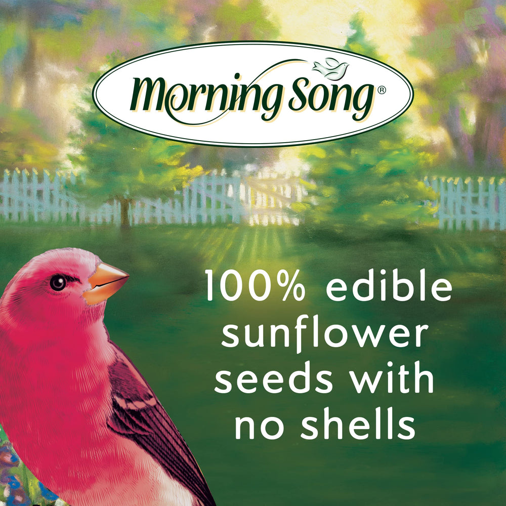 Morning Song sunflower hearts close-up highlighting 100% shell-free kernels.
