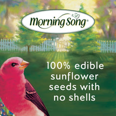 Morning Song sunflower hearts close-up highlighting 100% shell-free kernels.