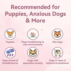 Moropaky Heartbeat Puppy Toy washable fabric close-up with removable module
