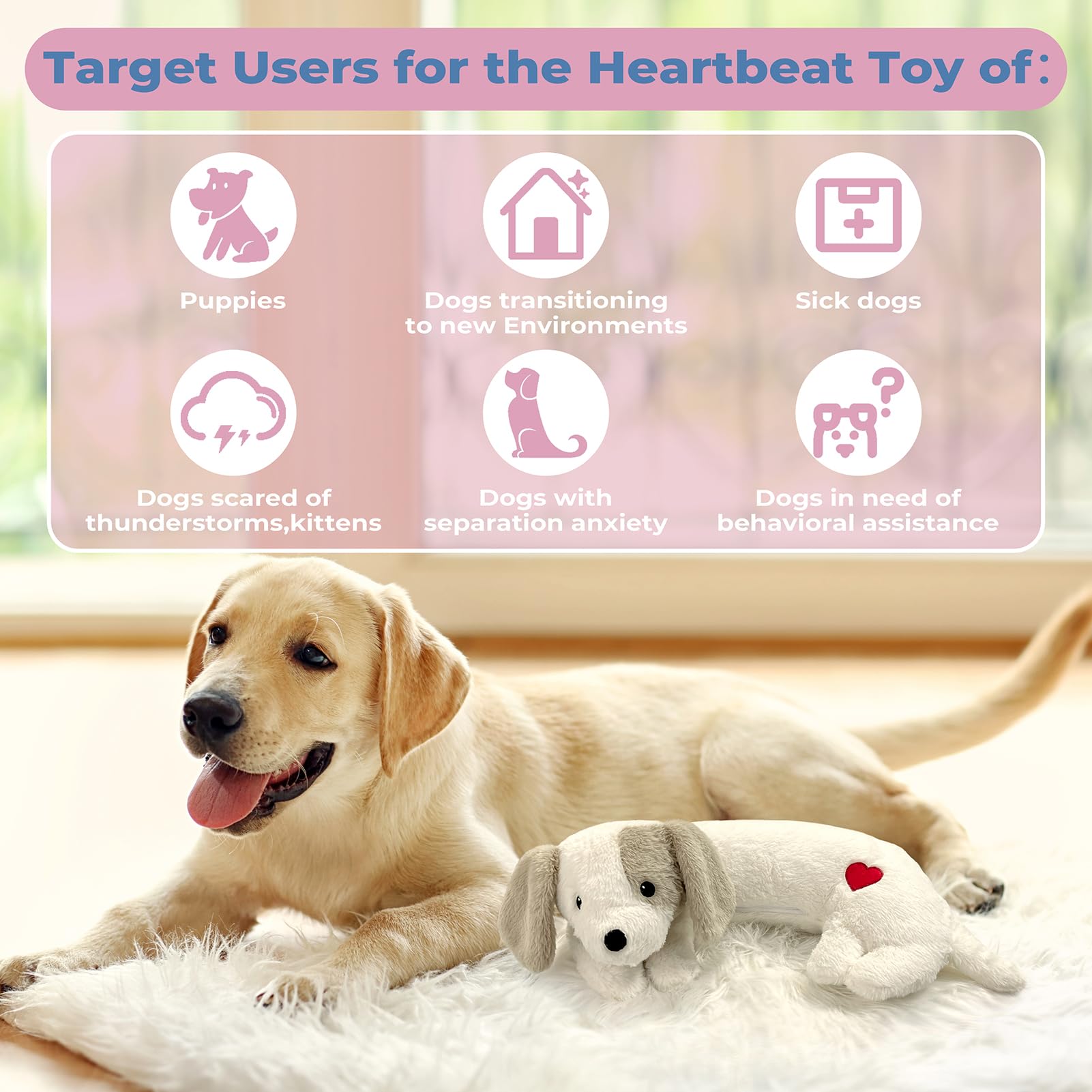 Moropaky Heartbeat Toy during a vet visit scenario for comfort