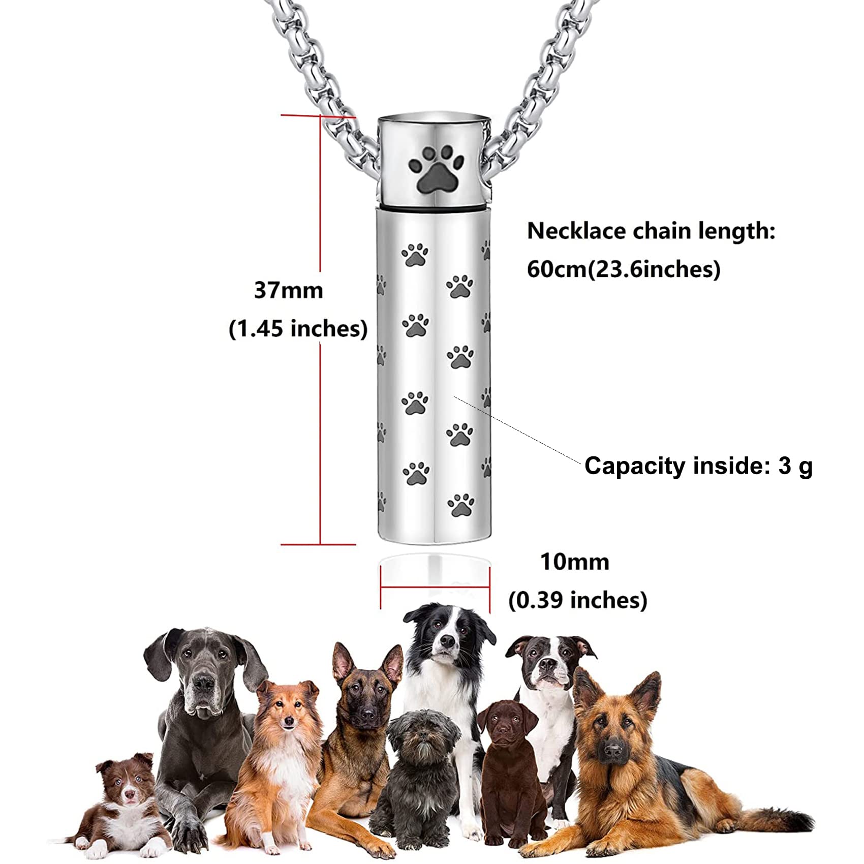 MOROTOLE dog urn necklace close-up shows cubic zirconia and engraved tag.