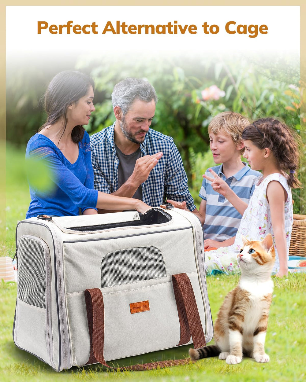 Morpilot cat carrier suitable for pets up to 18 lbs during travel.
